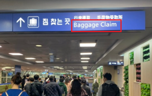 Follow the "Baggage Claim".